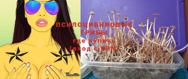 крисы Карталы